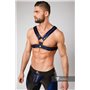 MASKULO - 2 Fronts Chest Harness Royal Blue