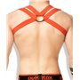 Outtox Bulldog Harness Red
