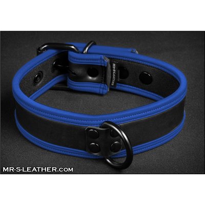 Neo Puppy Collar Blue Piping